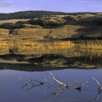 stump lake , reflections