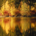 reflections, heffley lake