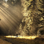 God rays, huffily lake, autumn