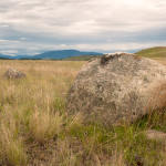 grassland, lac du bois