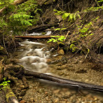 snow run off, creek