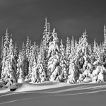 Hoarfrost, winter, snow, fog, winter