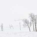 Hoarfrost, winter, snow, fog, winter