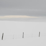 Hoarfrost, winter, snow, fog, winter