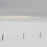 Hoarfrost, winter, snow, fog, winter
