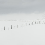 Hoarfrost, winter, snow, fog, winter