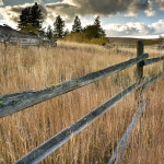 grassland, old fence line, old wagon