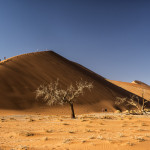 The start of the climb up the Highest sand dune in Sossusvlei 'Big Daddy'  400 meter high