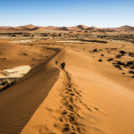 salt and clay pans surrounded by orange sand dunes of Sussusvlei