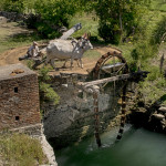 Water Wheel Jodhpur