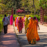 Beautiful Saris