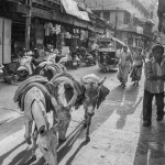 Old city of Jodhpur