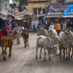 street in Puskar