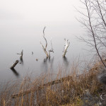 A long exposure of the misty water at Jocko Lake