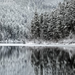 Heffley Lake just before it freezes