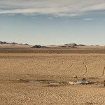 Animal trails thru the Desert