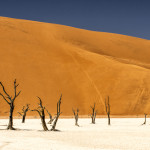 Deadvlei means 'dead marsh' surrounded by some of the highest sand dunes in the world