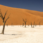 Deadvlei is a surreal landscape