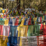 prayer flags, bhutan,