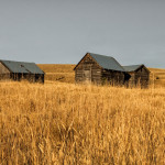 evening light, grasslands, old wood, ole barns