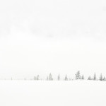 Hoarfrost, winter, snow, fog, winter