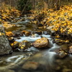 fall, autumn, creek, fallen leaves, yellow leaves