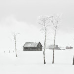 Hoarfrost, snow, winter, old barns